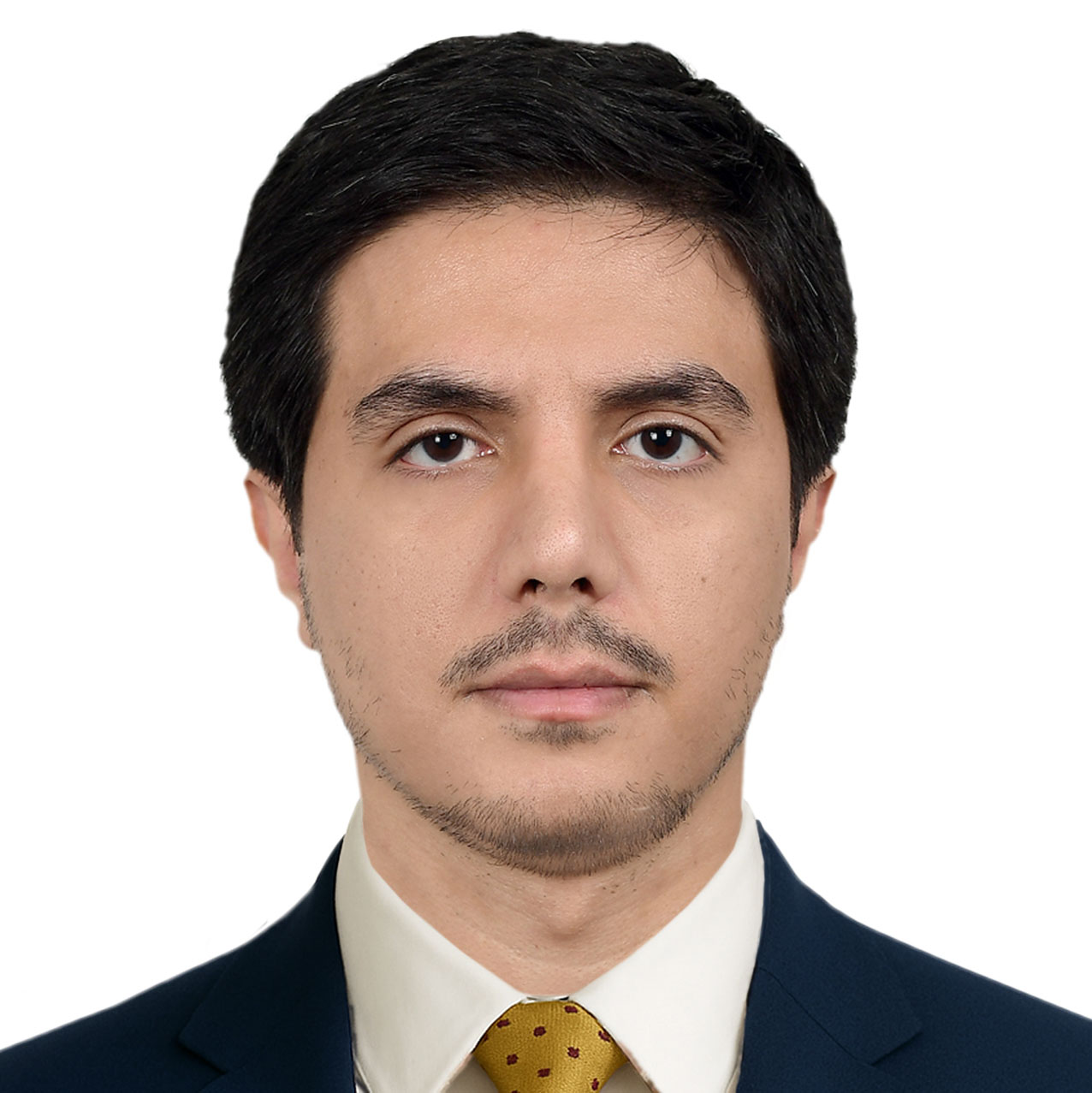 Sayed Fridoon Hashimi